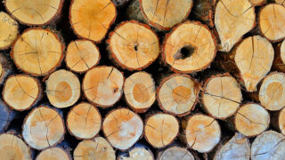 令和６年度合法伐採木材利用促進のための普及セミナーの開催について